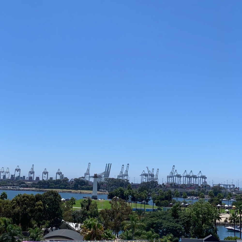 Meet your Posher, Joanna